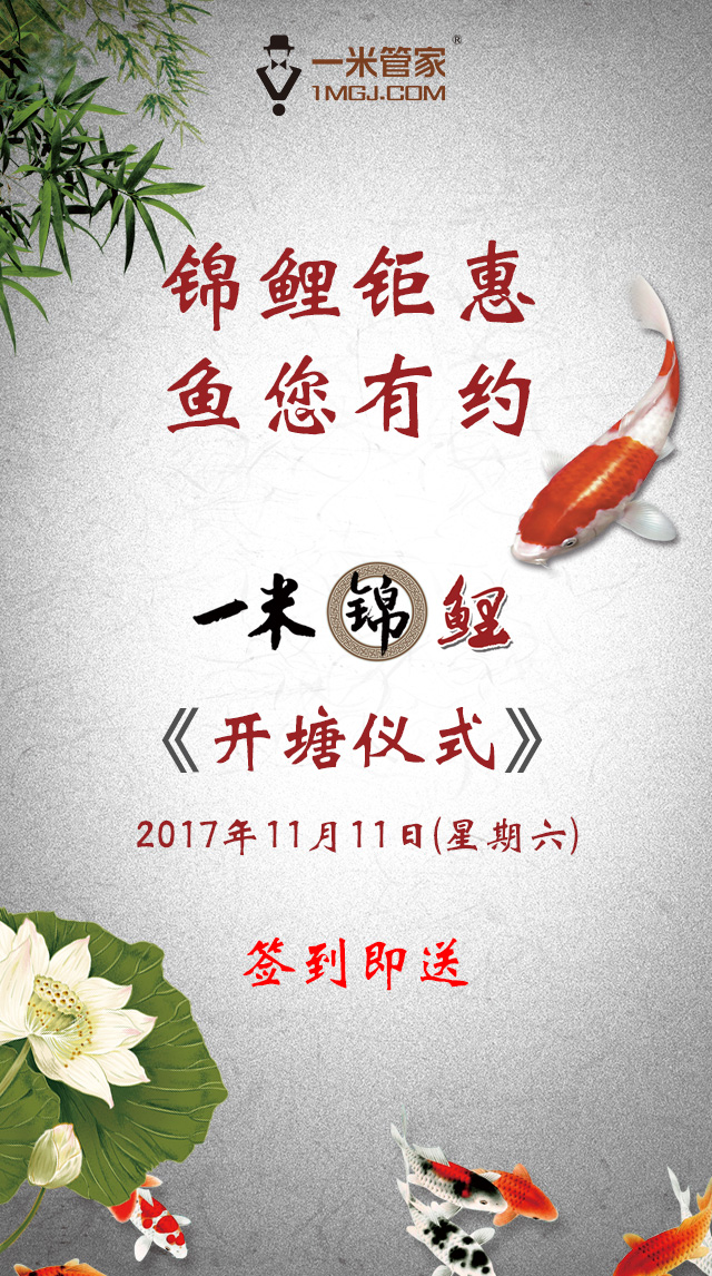 锦鲤