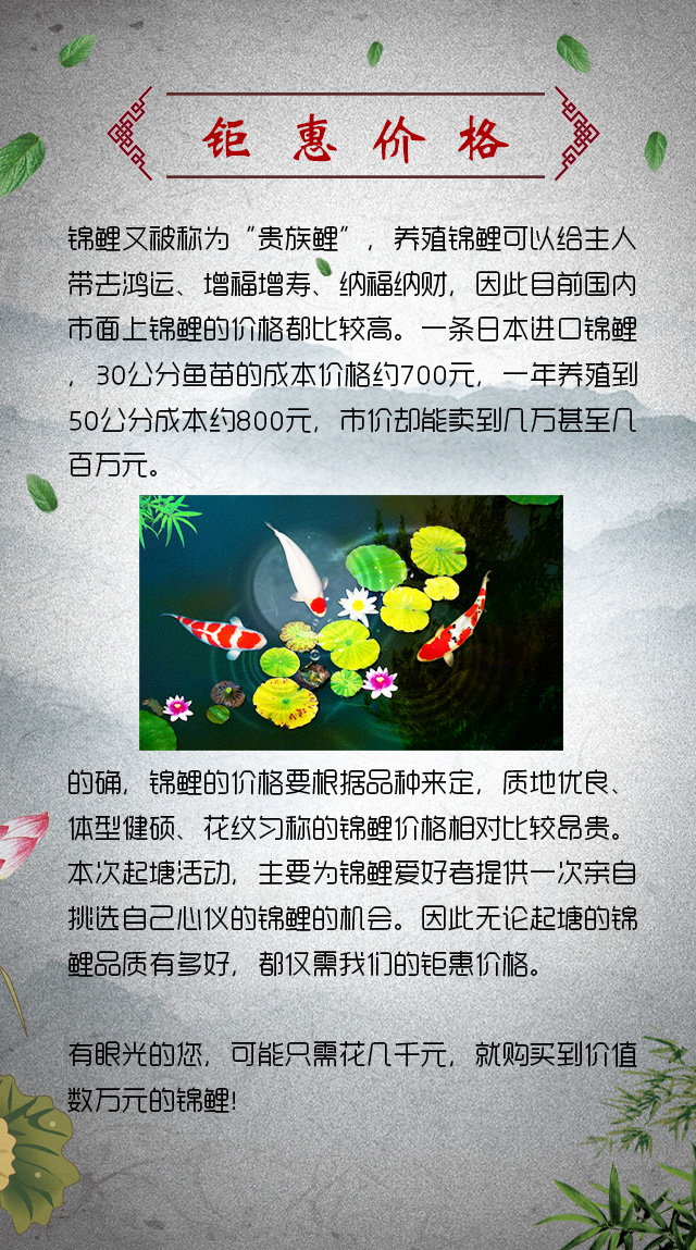 锦鲤