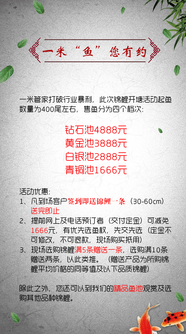 锦鲤