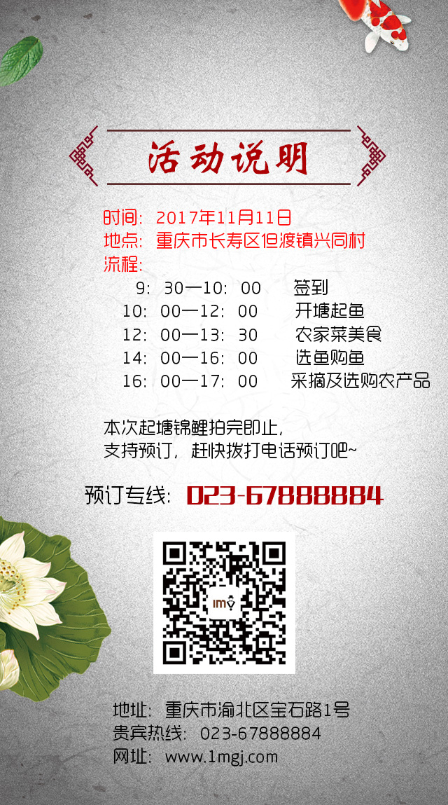 锦鲤