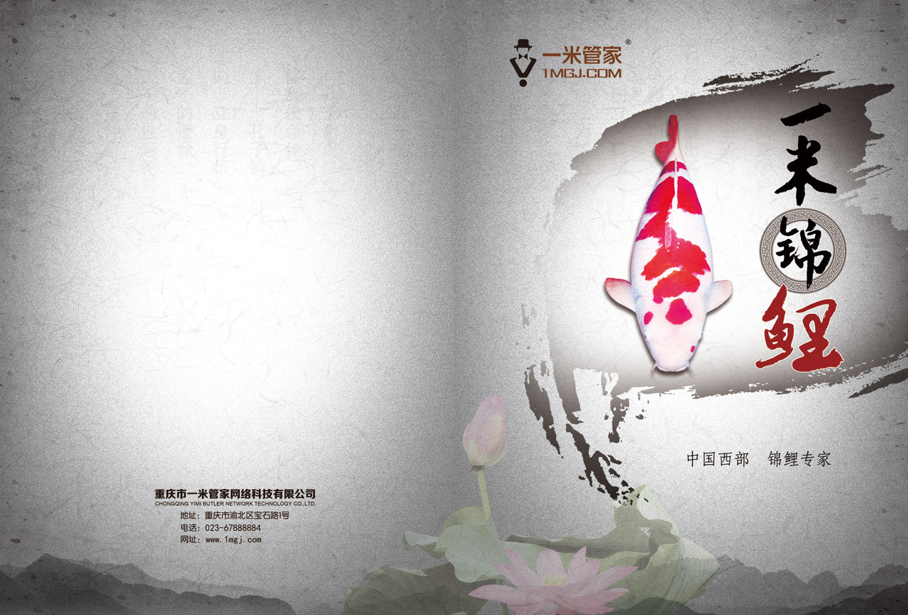 一米锦鲤专家