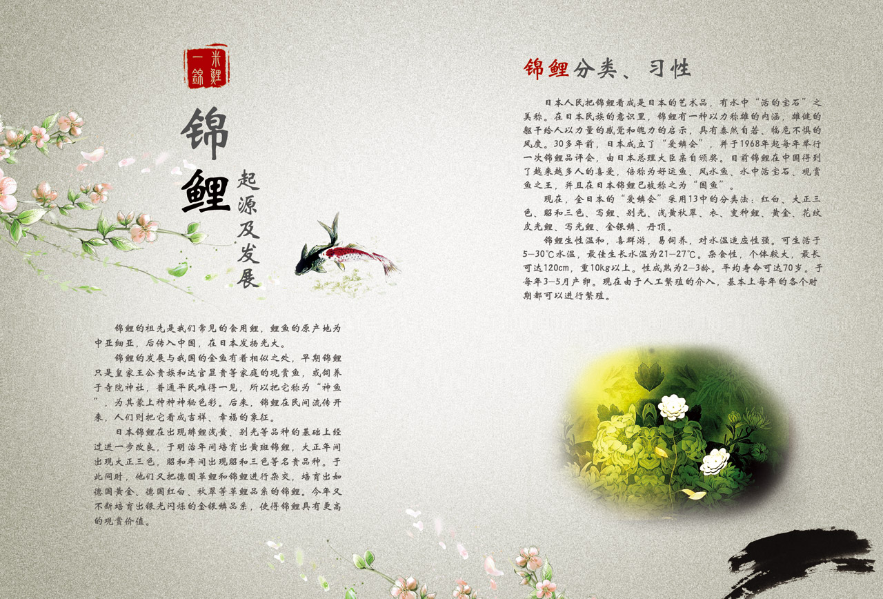 一米锦鲤精品
